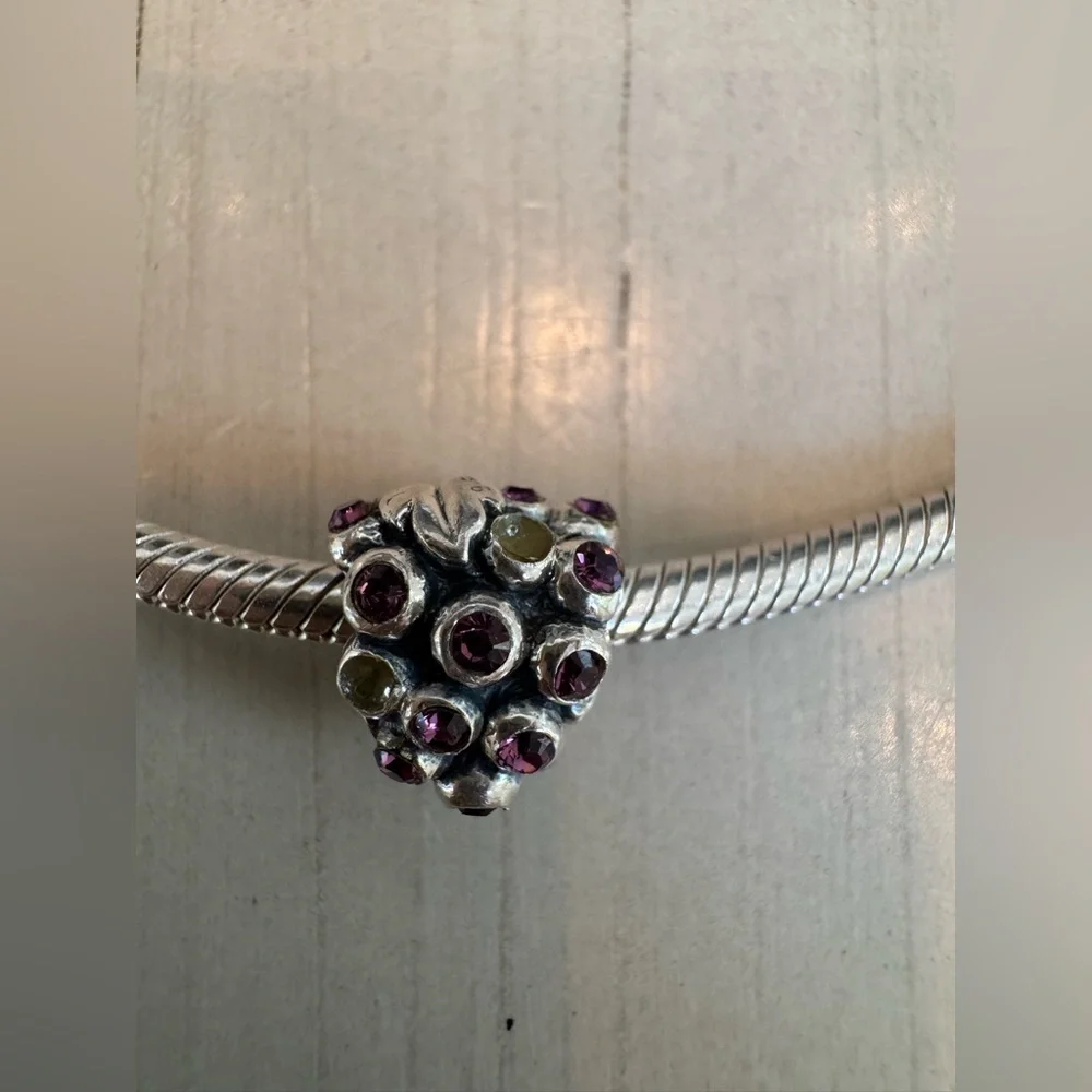 Biagi/Pandora 925 Sterling Silver Snake Bracelet with Vintage Charms - Picture 12 of 15